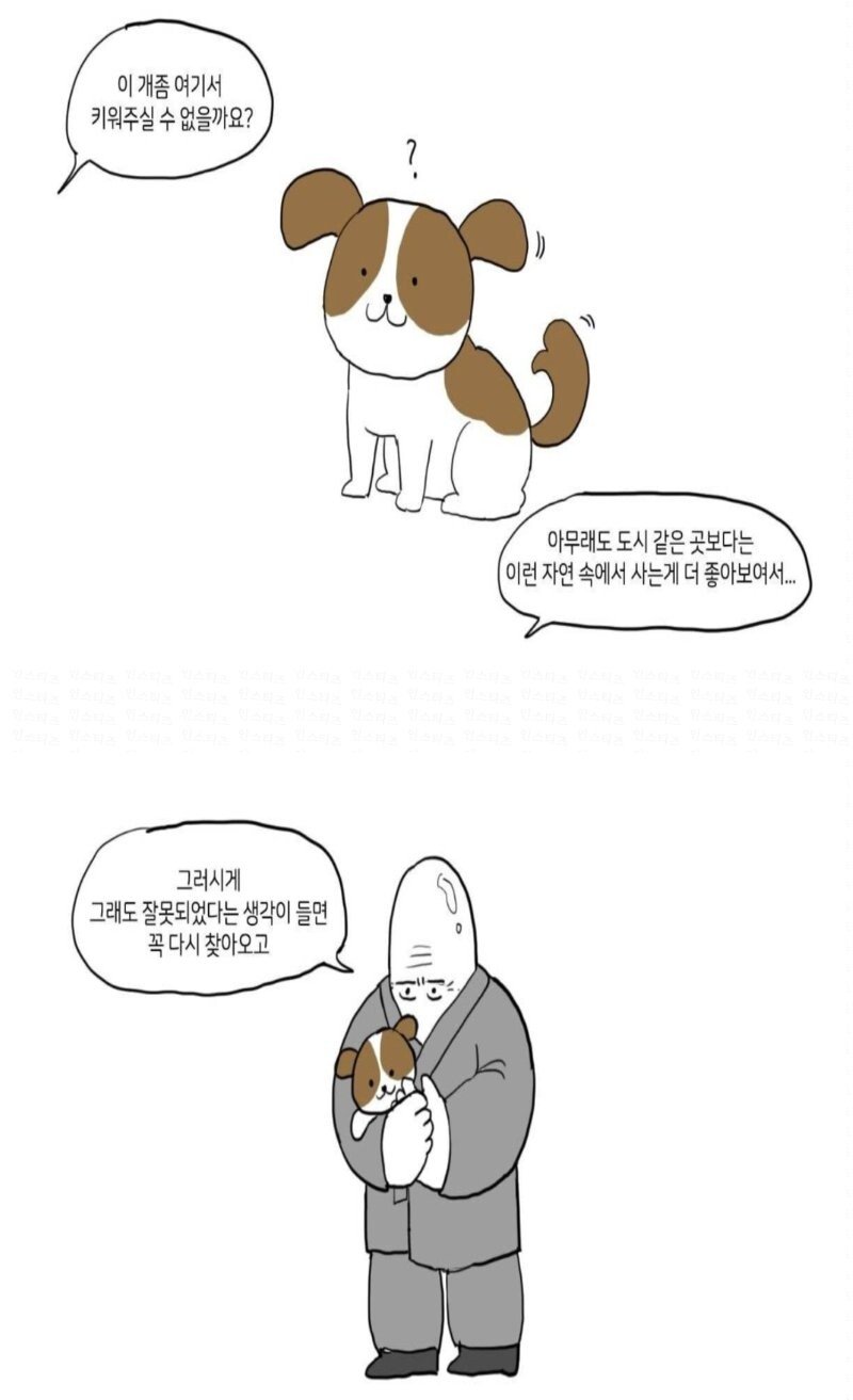 요즘 사람들이 개를 버리는 곳