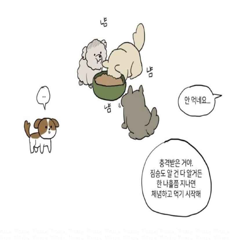 요즘 사람들이 개를 버리는 곳