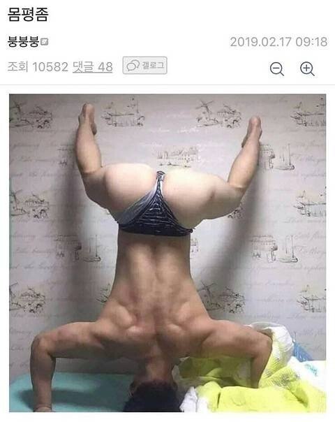 헬스갤러리 레전드 모음