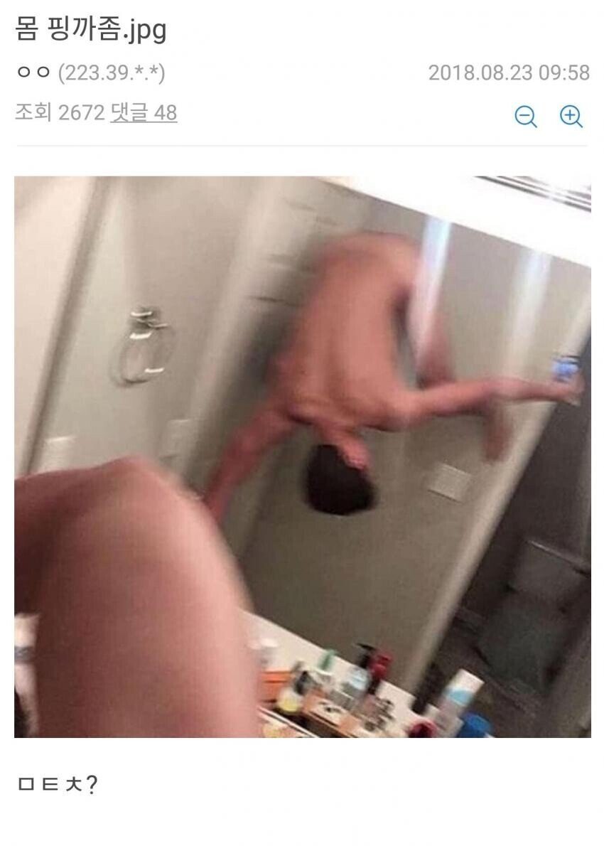 헬스갤러리 레전드 모음