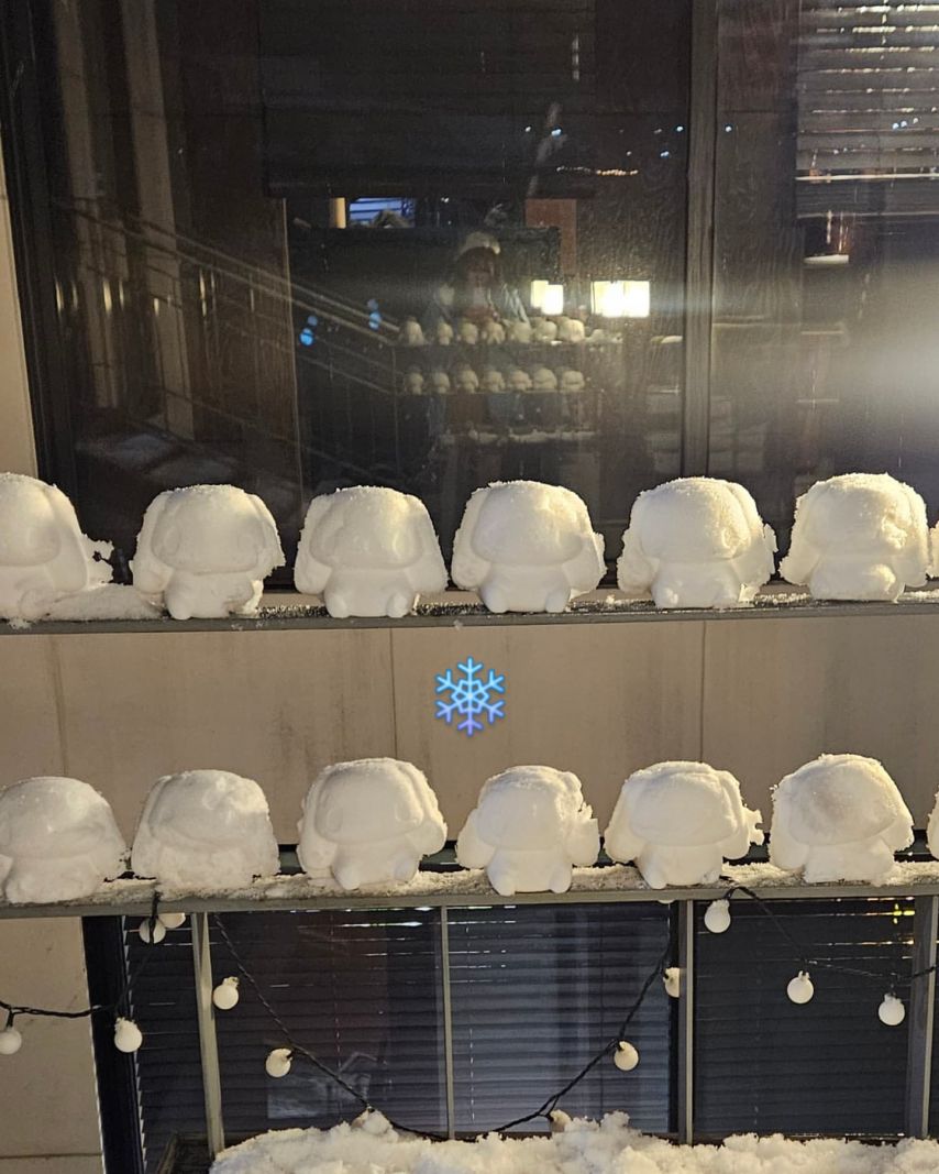 수련수련