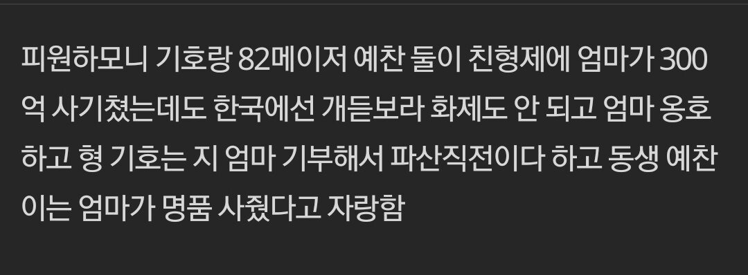 엄마가 경제사범이라는 어느 아이돌 형제의 망언