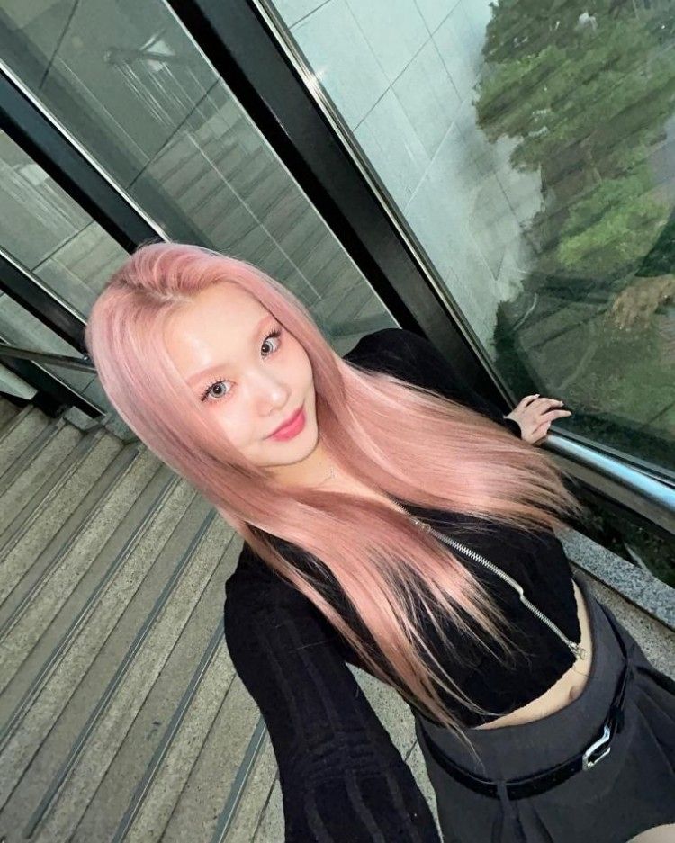 퍼플키스 수안