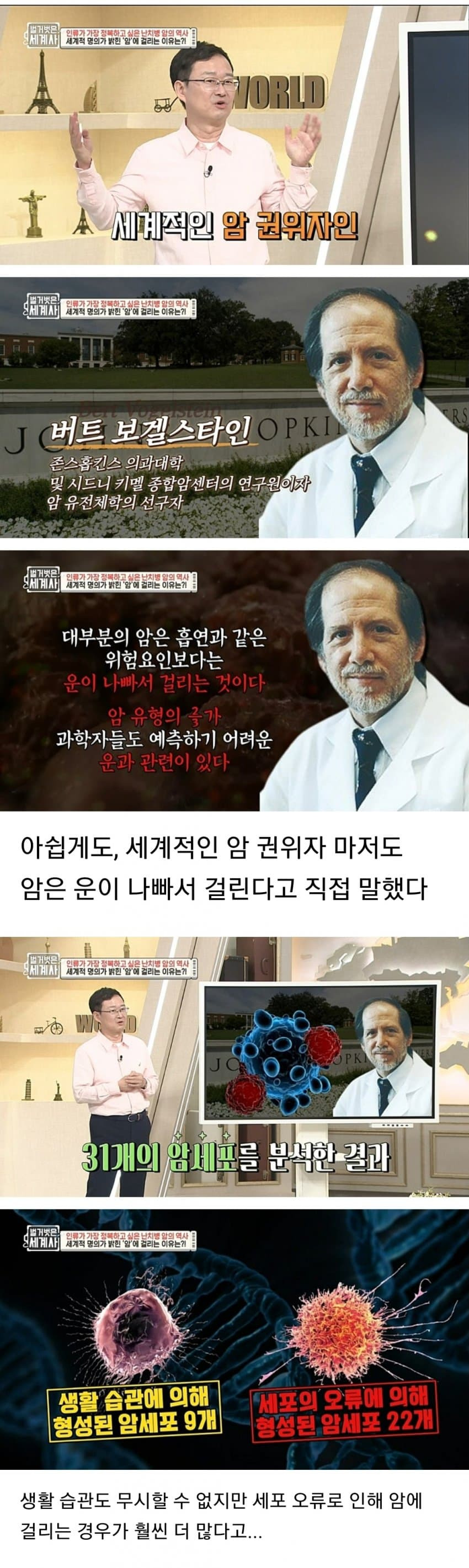 암 환자가 말하는 암 걸린 이유