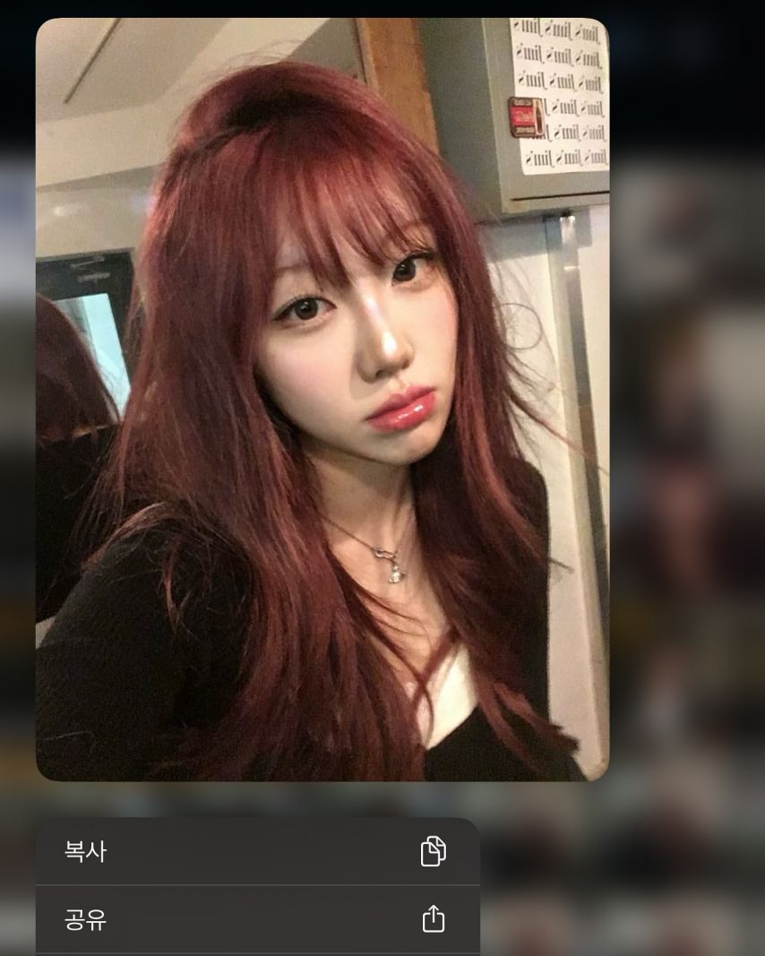 기무세딘