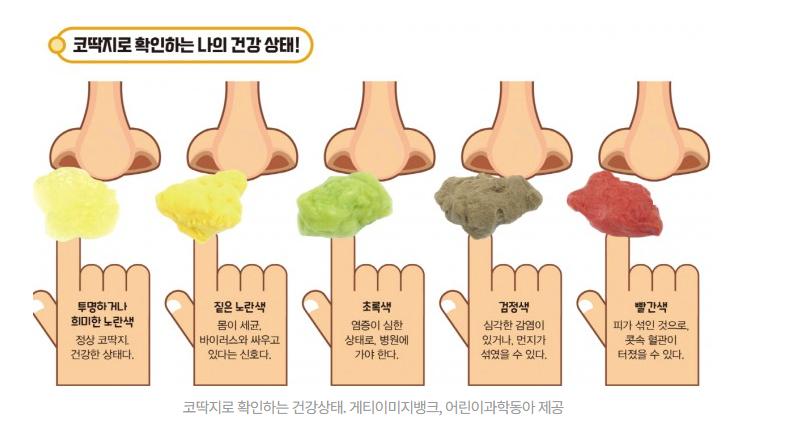 코딱지로 확인하는 건강 상태 ㅋㅋㅋ