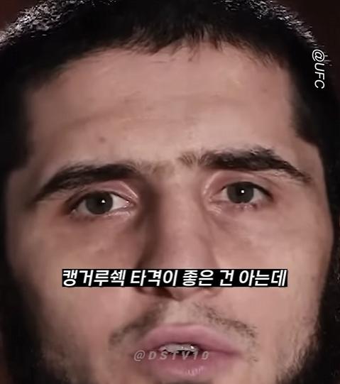 UFC 선수들이 말하는 맨손으로 이길수 있는 동물