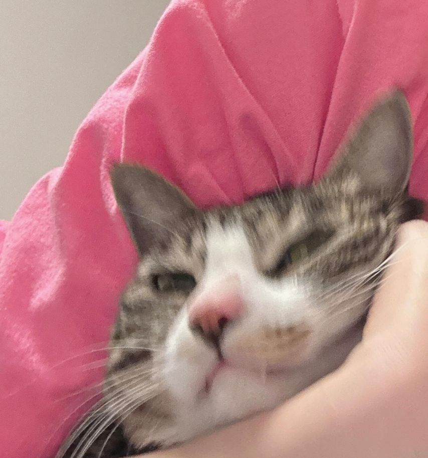 민한나