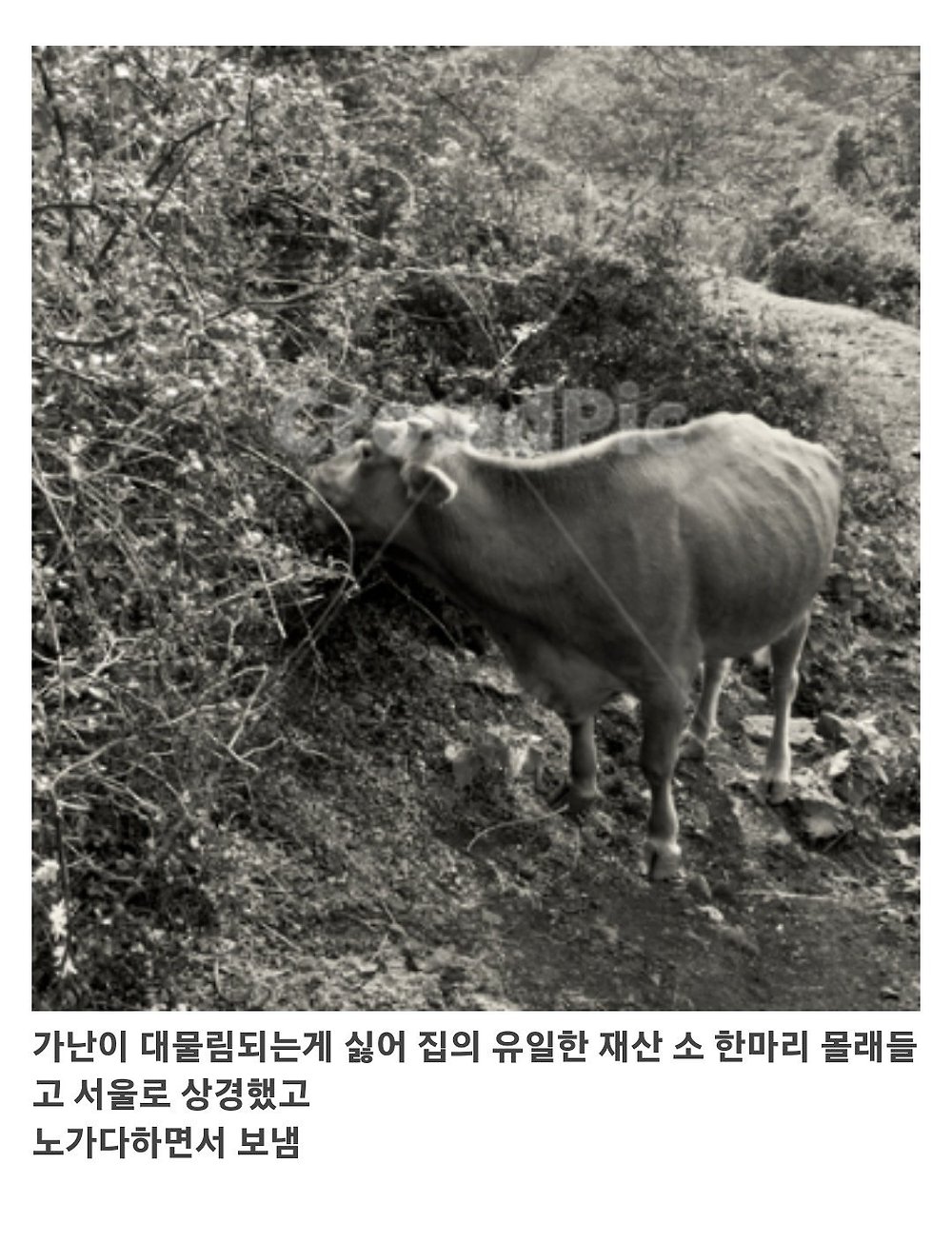 바닥부터 시작해서 세계 10대 부자까지