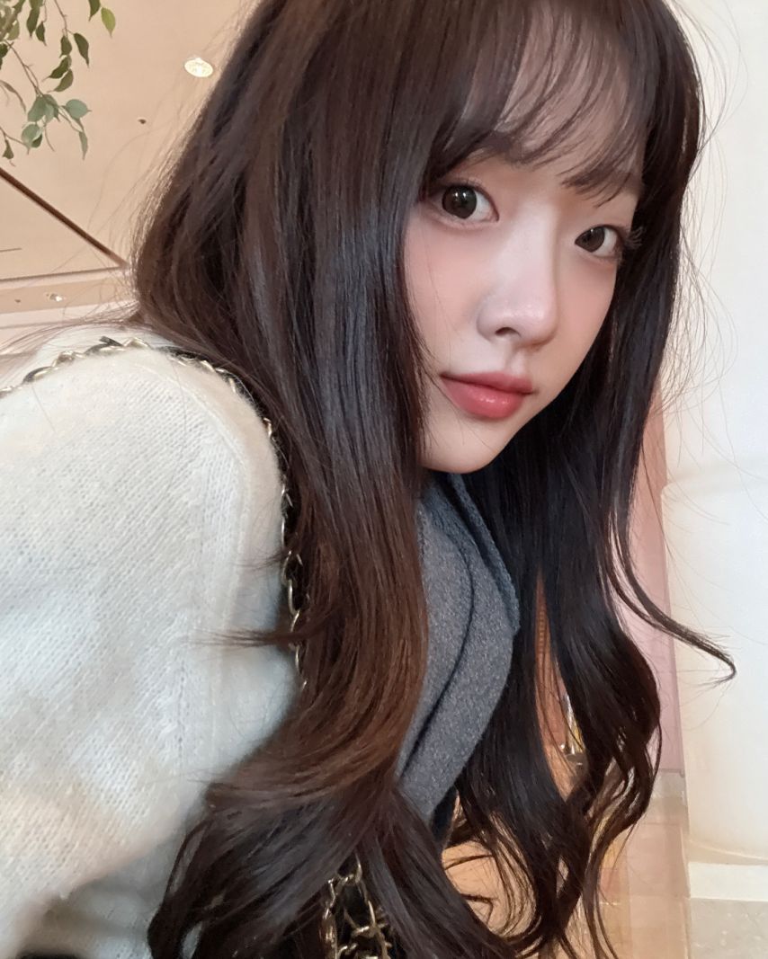 시그니처 클로이 인스타