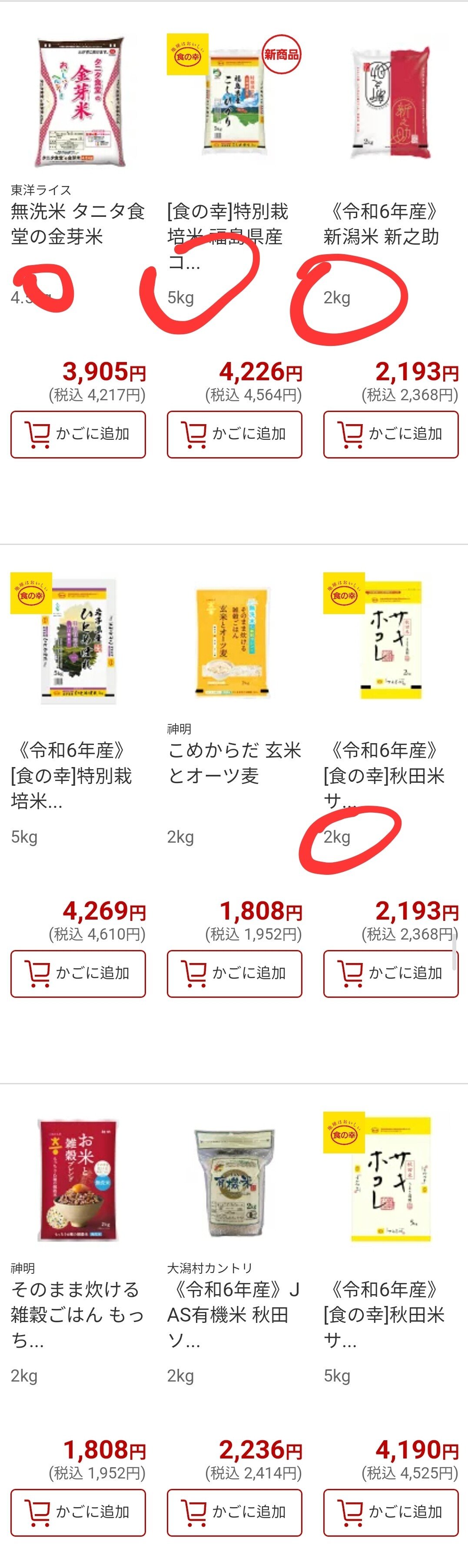 일본이 진짜 초비상 걸린이유