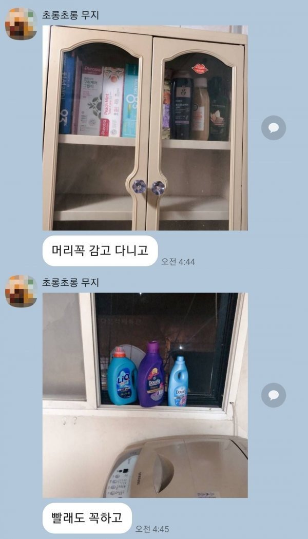 나없는 사이 친구가 내 자취방에 사고침