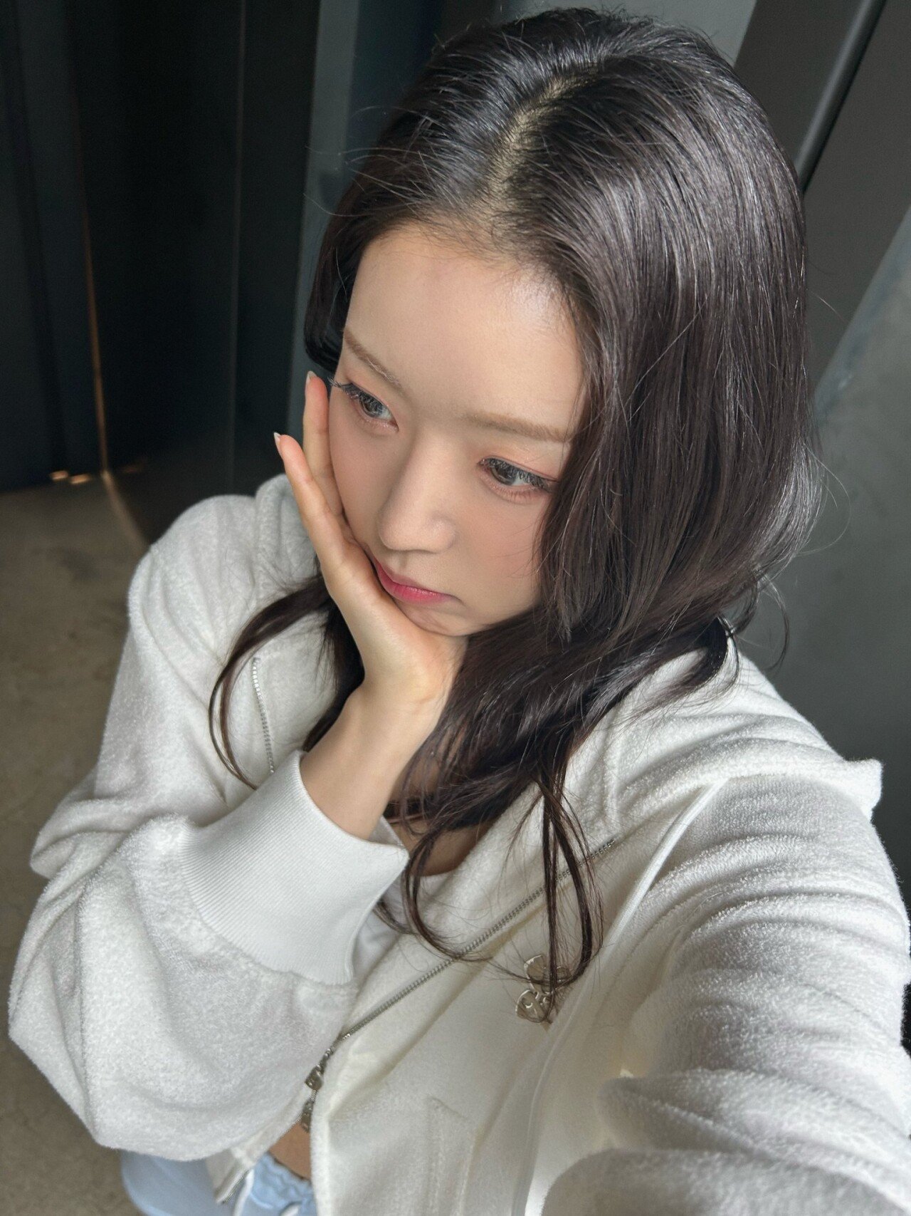 드림노트 보니