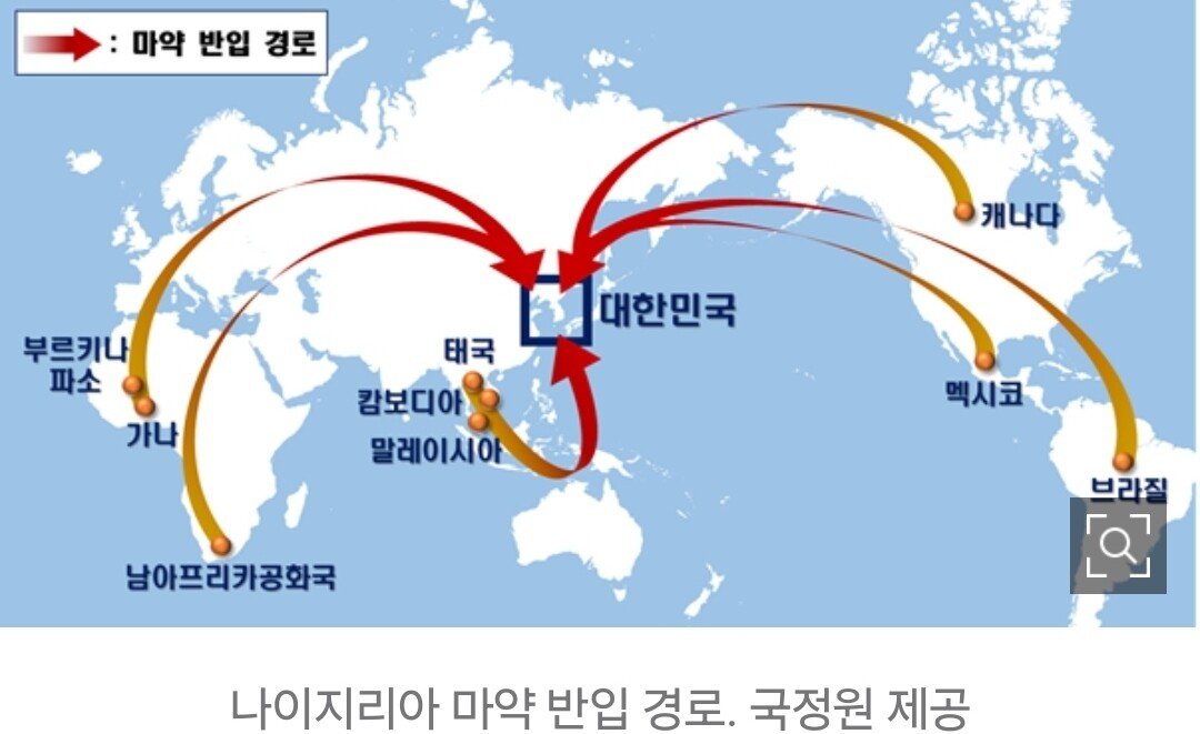 국정원 "한국 겨냥 국제마약조직 총책 나이지리아인 검거"
