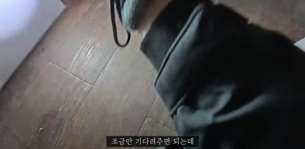 고양이 찾아달라고 의뢰해놓고 돈 못주겠다는 고양이 유튜버 ㄷㄷ