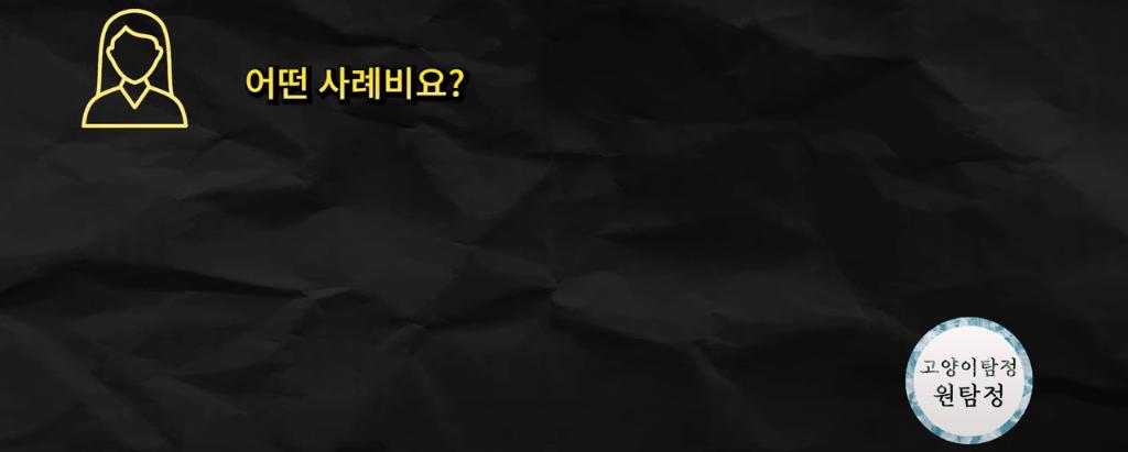 고양이 찾아달라고 의뢰해놓고 돈 못주겠다는 고양이 유튜버 ㄷㄷ