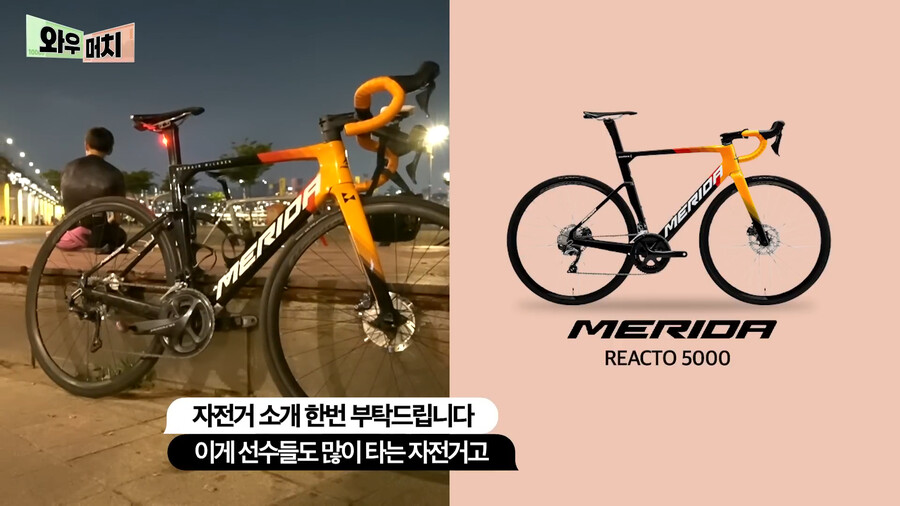 한강공원 자전거 가격 근황 ㄷㄷㄷㄷ