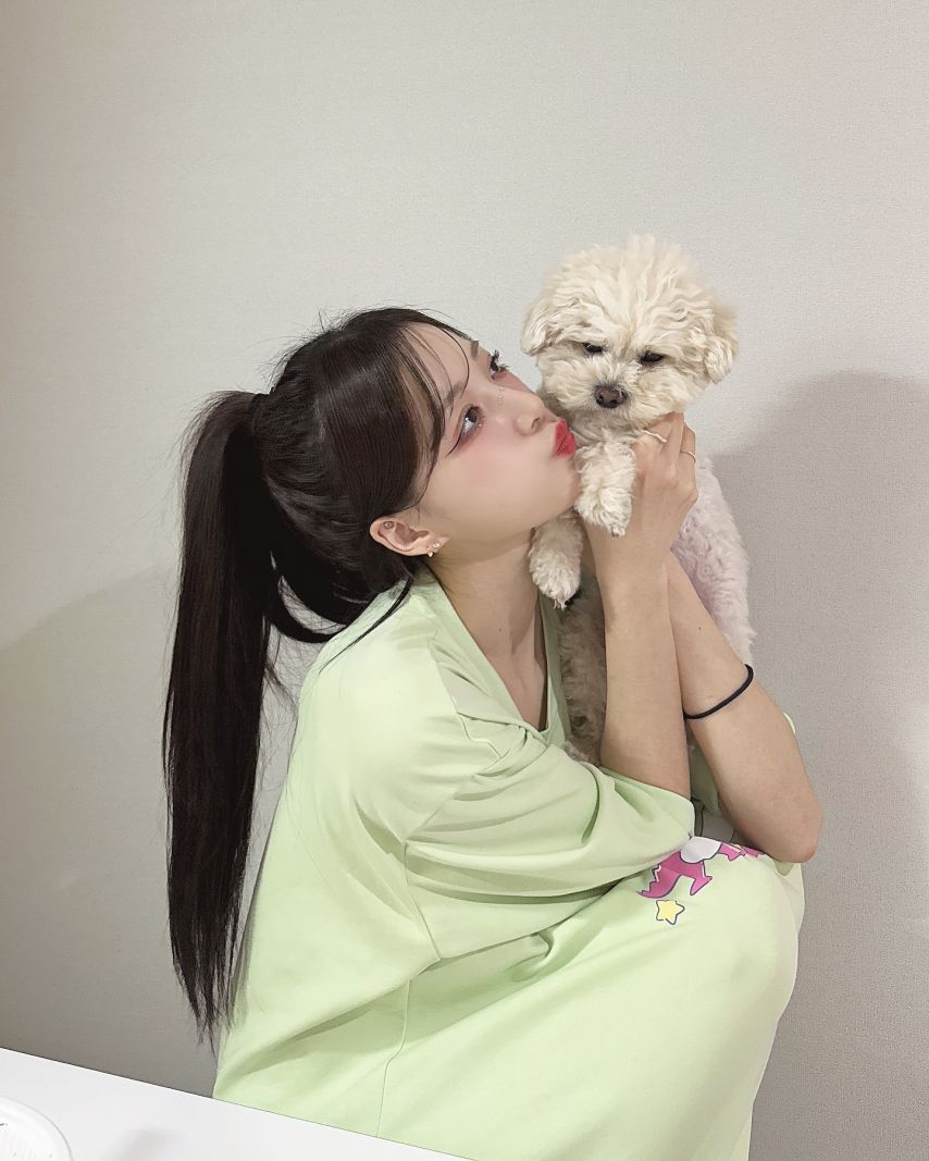 이호정