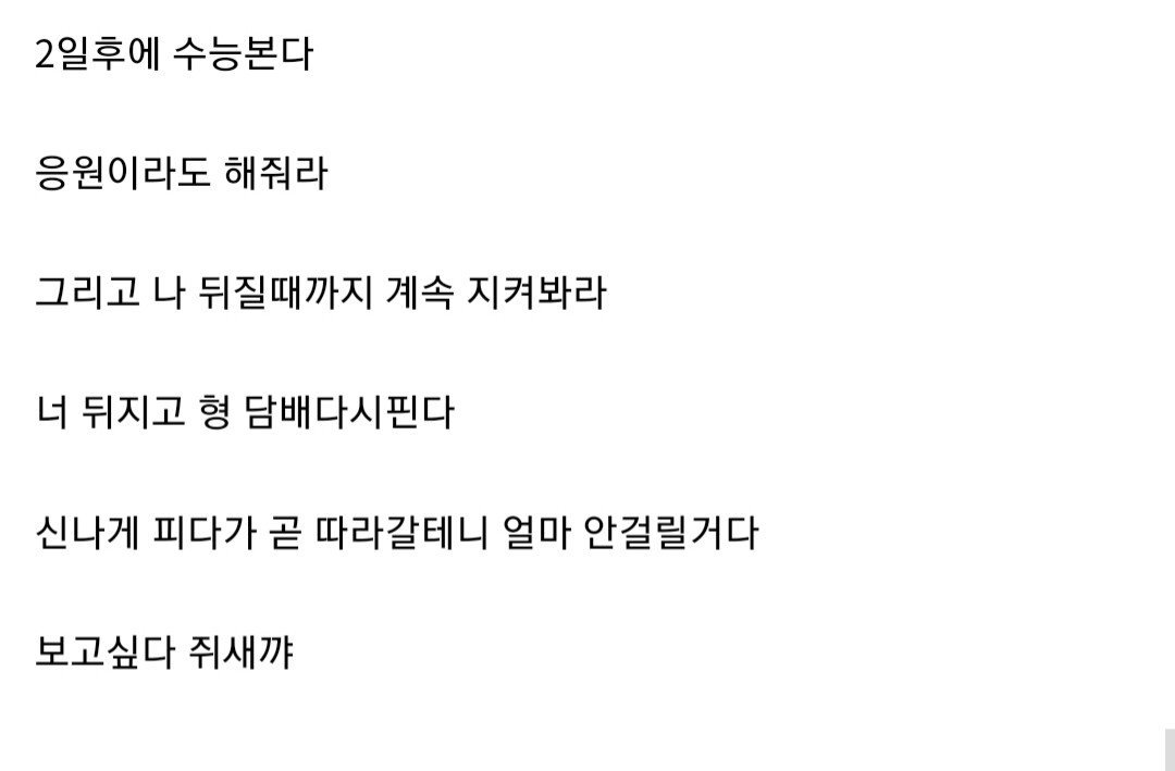 햄스터 때문에 수의대 가기로 결정한 디씨인