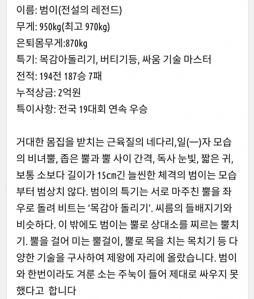 한국 전설의 싸움소 범이