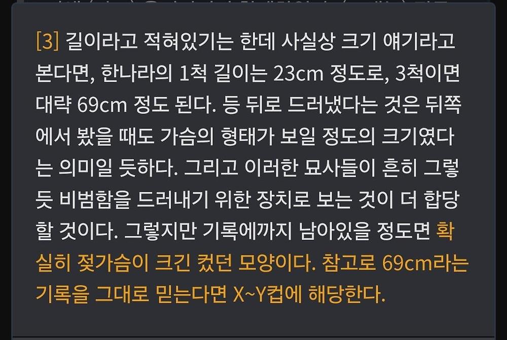 삼국지에 나오는 코끼리 탄 거유 여전사