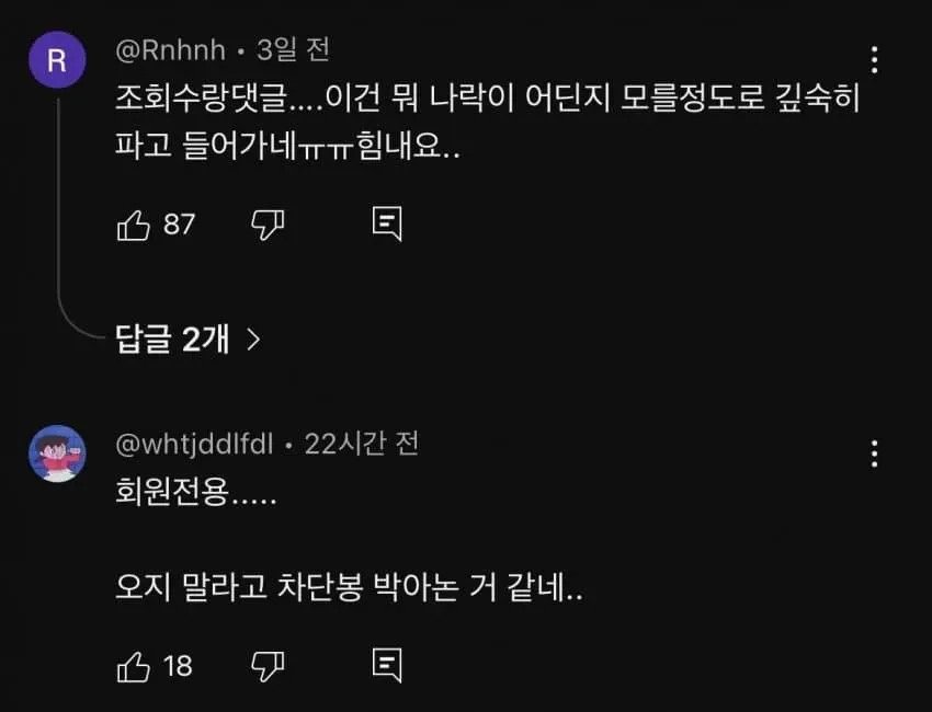 나락간 피식대학 근황