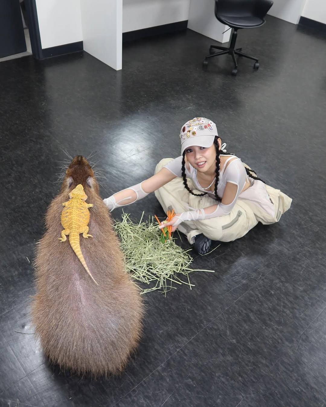 블랙핑크 제니 뮤비에 등장한 카피바라