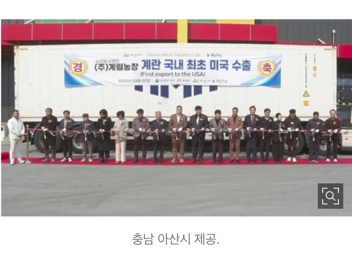 달걀 한알 천원인 나라.. 결국 한국에 손벌려