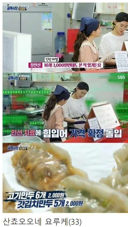 뿌쿠가와 이에야스 전성기 시리즈