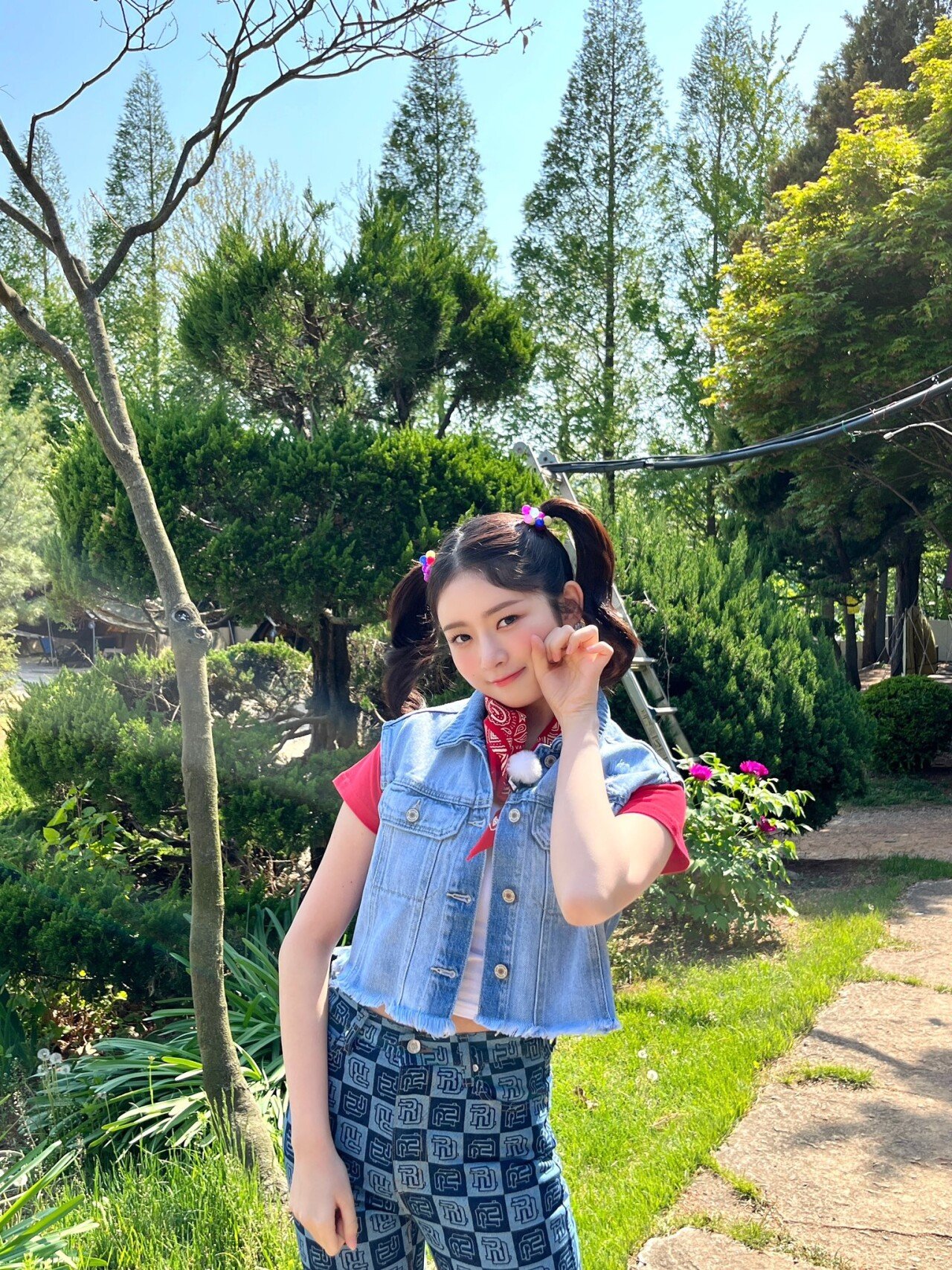 아이브 레이