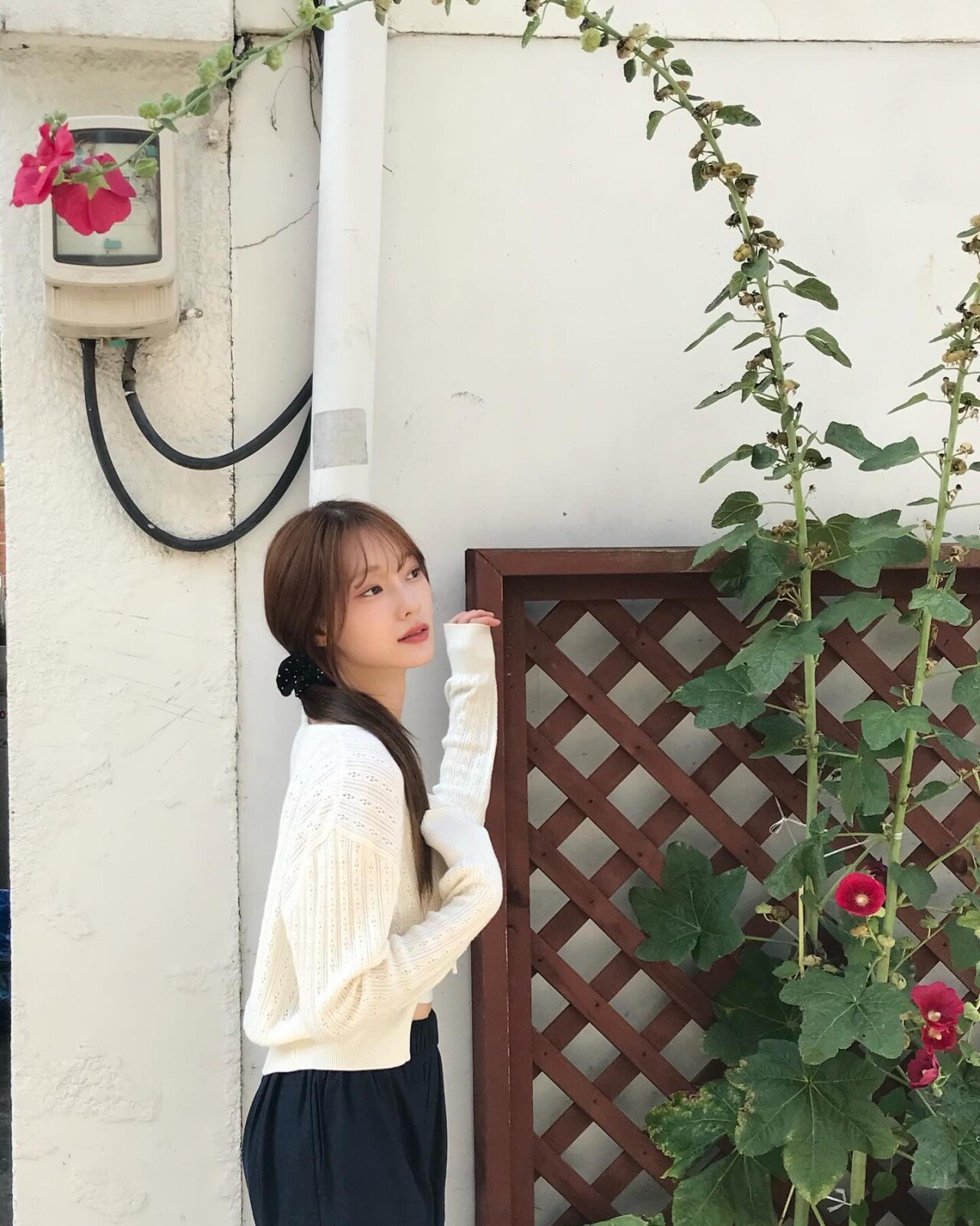 드림노트 라라