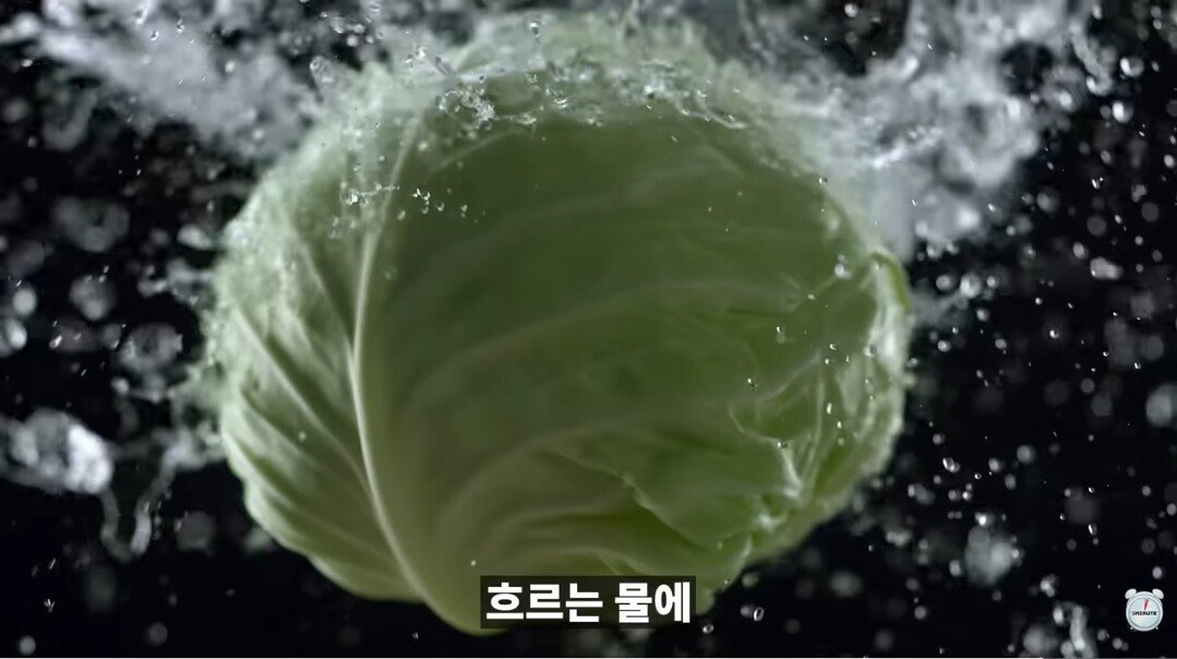 양배추 1장 1장씩 열심히 세척하던 분들 보세요