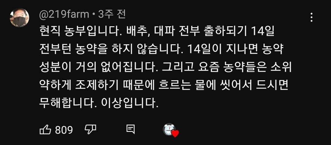양배추 1장 1장씩 열심히 세척하던 분들 보세요