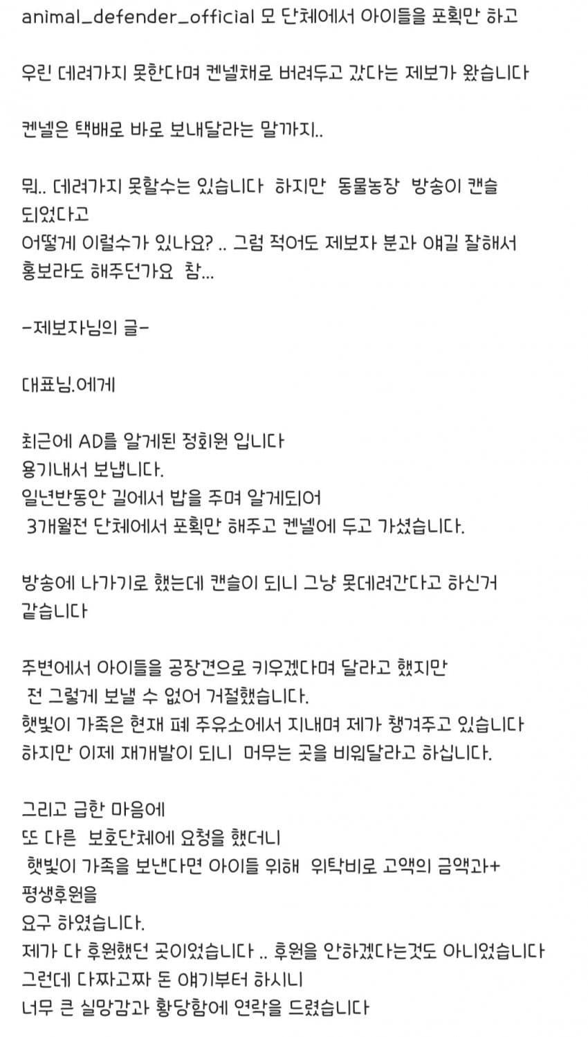 방송 취소되자 구조한 강아지 켄넬째로 버리고 간 동물단체