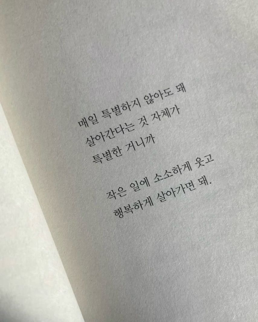 아이브 리즈