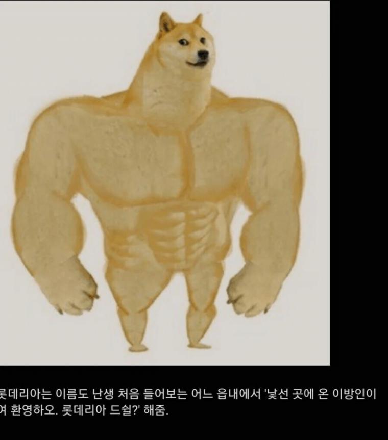 인정할수 밖에 없는 롯데리아 장점