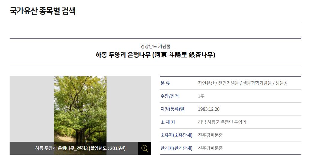 900년된 은행나무도 타버림