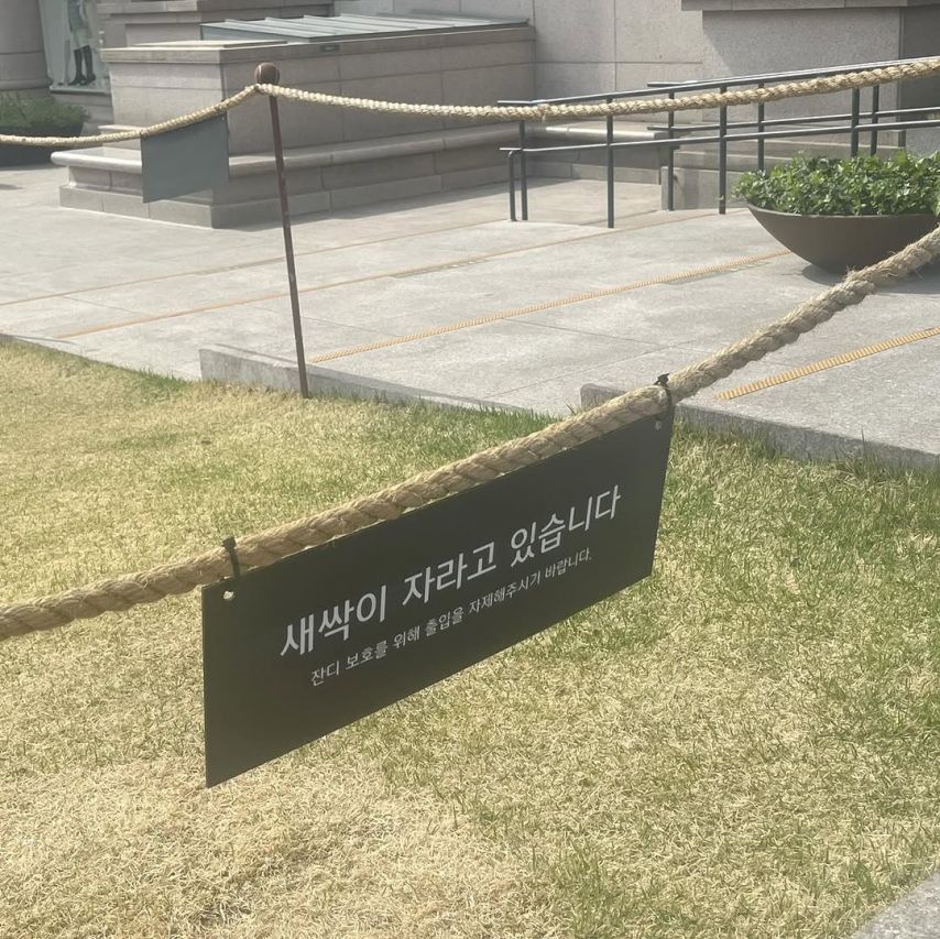 김향기 ig 저 세상 필터 so spring! 지혜를 주시오!