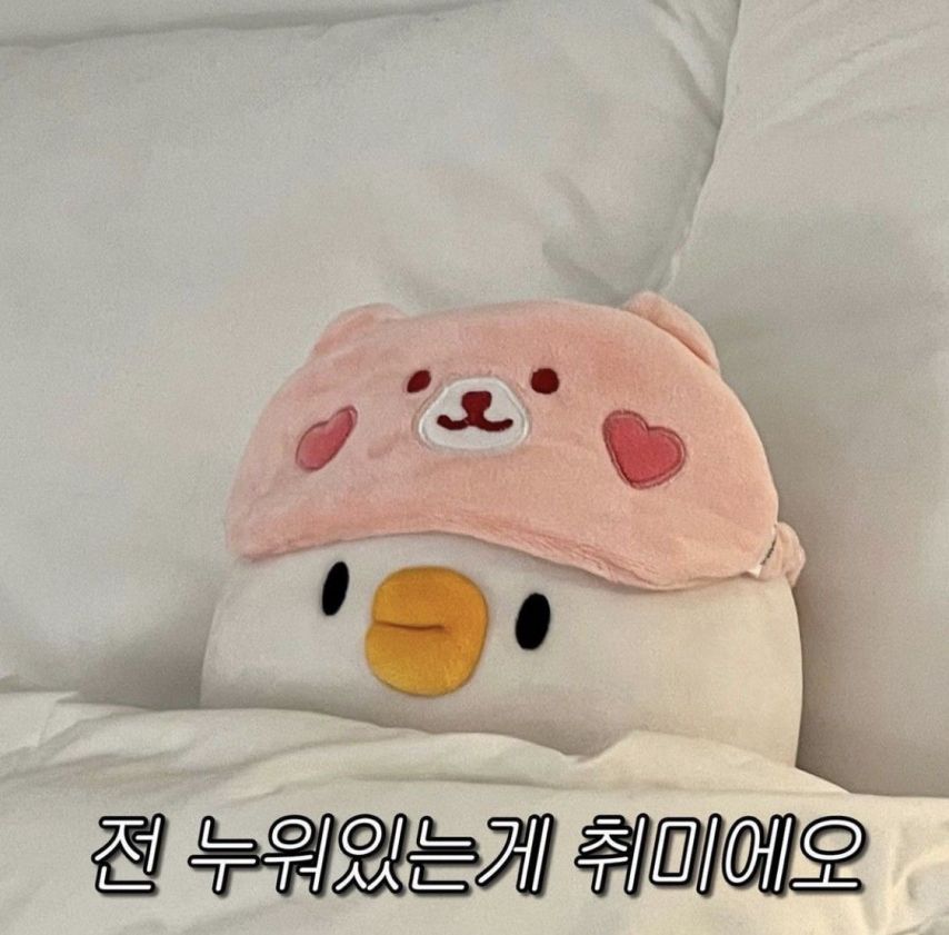 라잇썸 나영