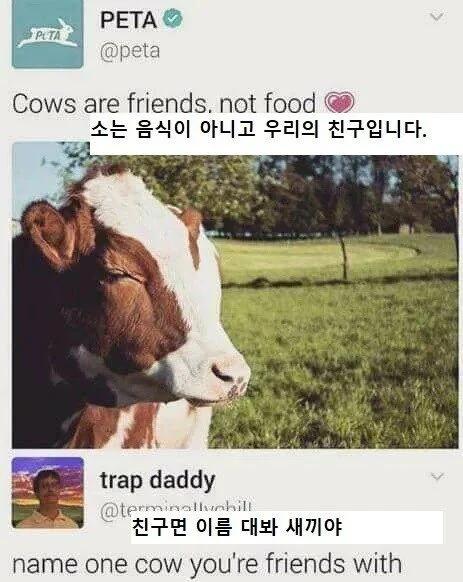 소는 음식이 아닙니다.