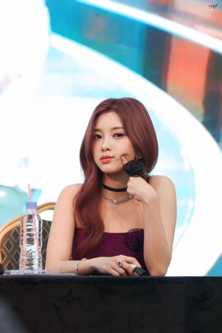 케플러 김다연