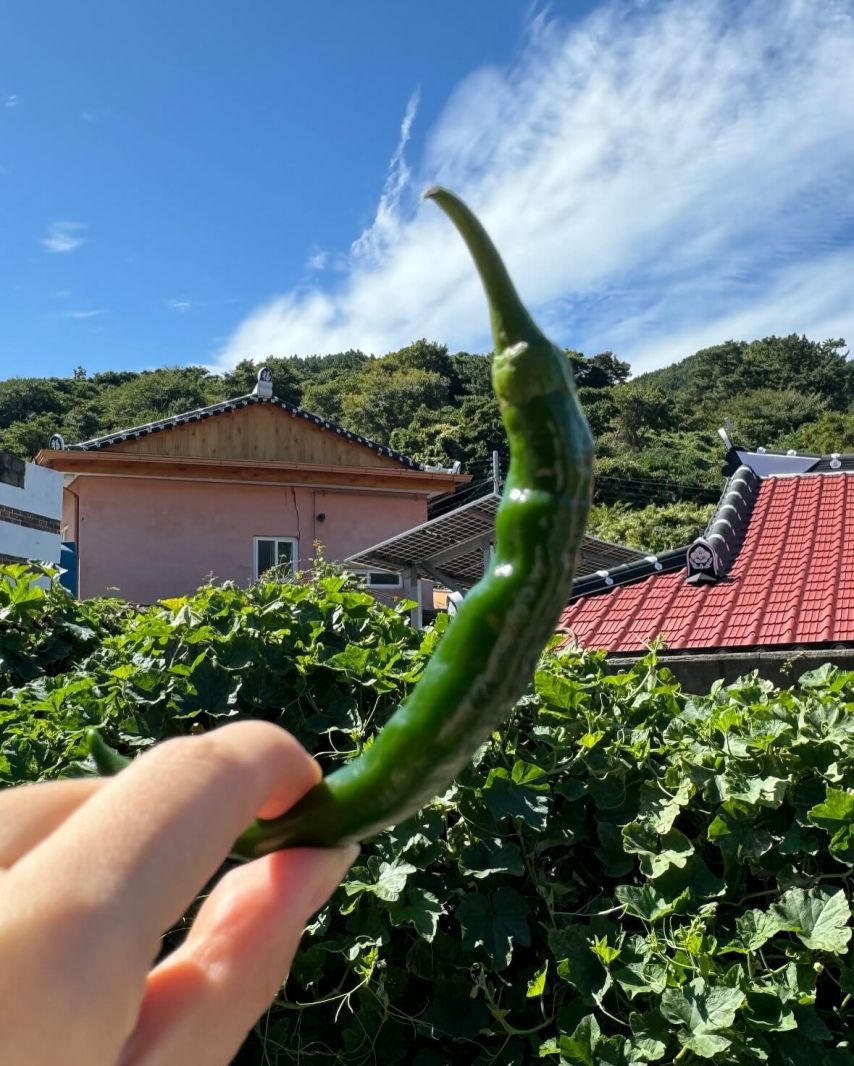 전은비