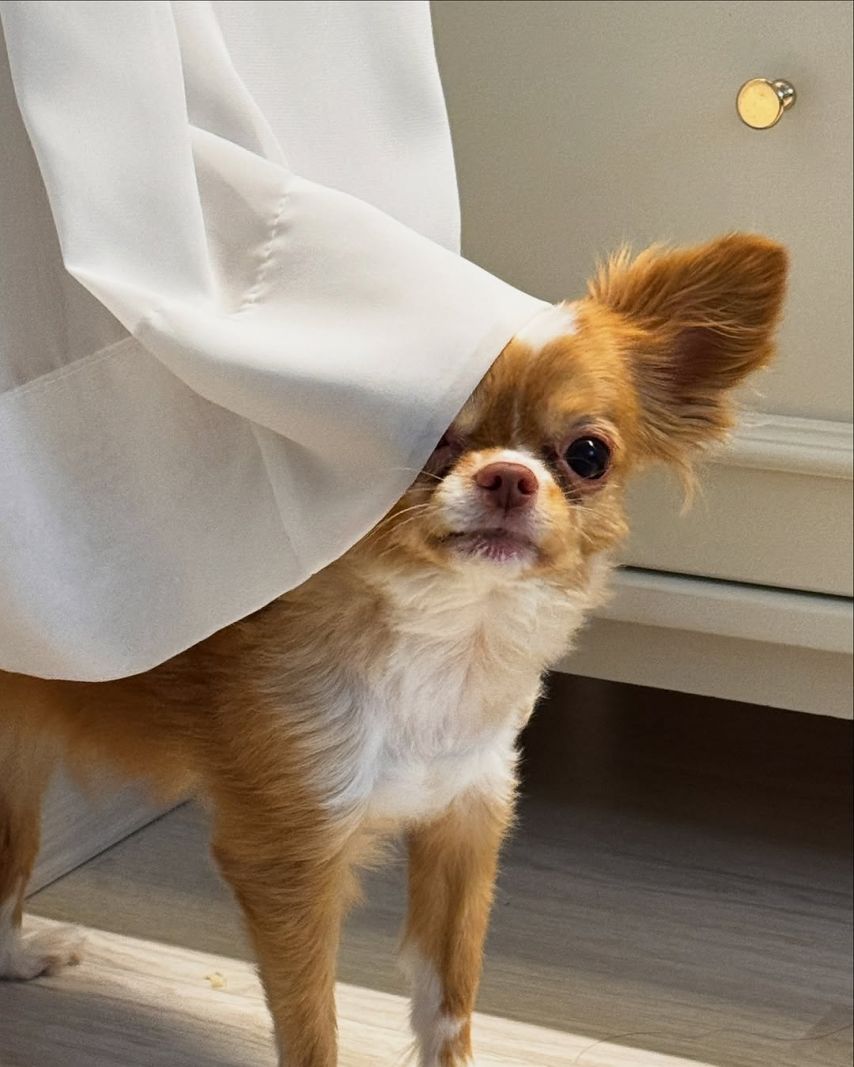 예원 (김예원) ig 7개월만에 내 유튭 촬영을 했다아...!
