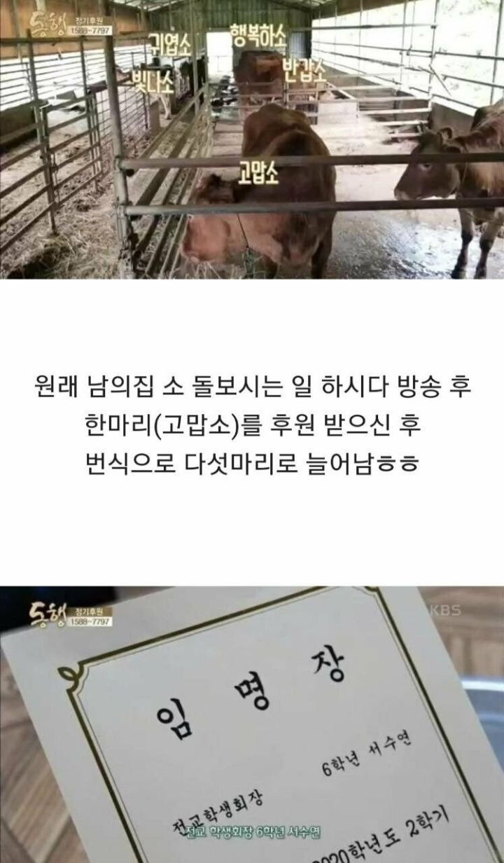 4년전 방송 되었던 뇌성마비 아버지와 9살 딸.. 근황