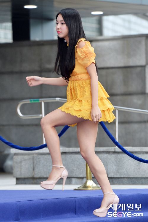 트와이스 채영