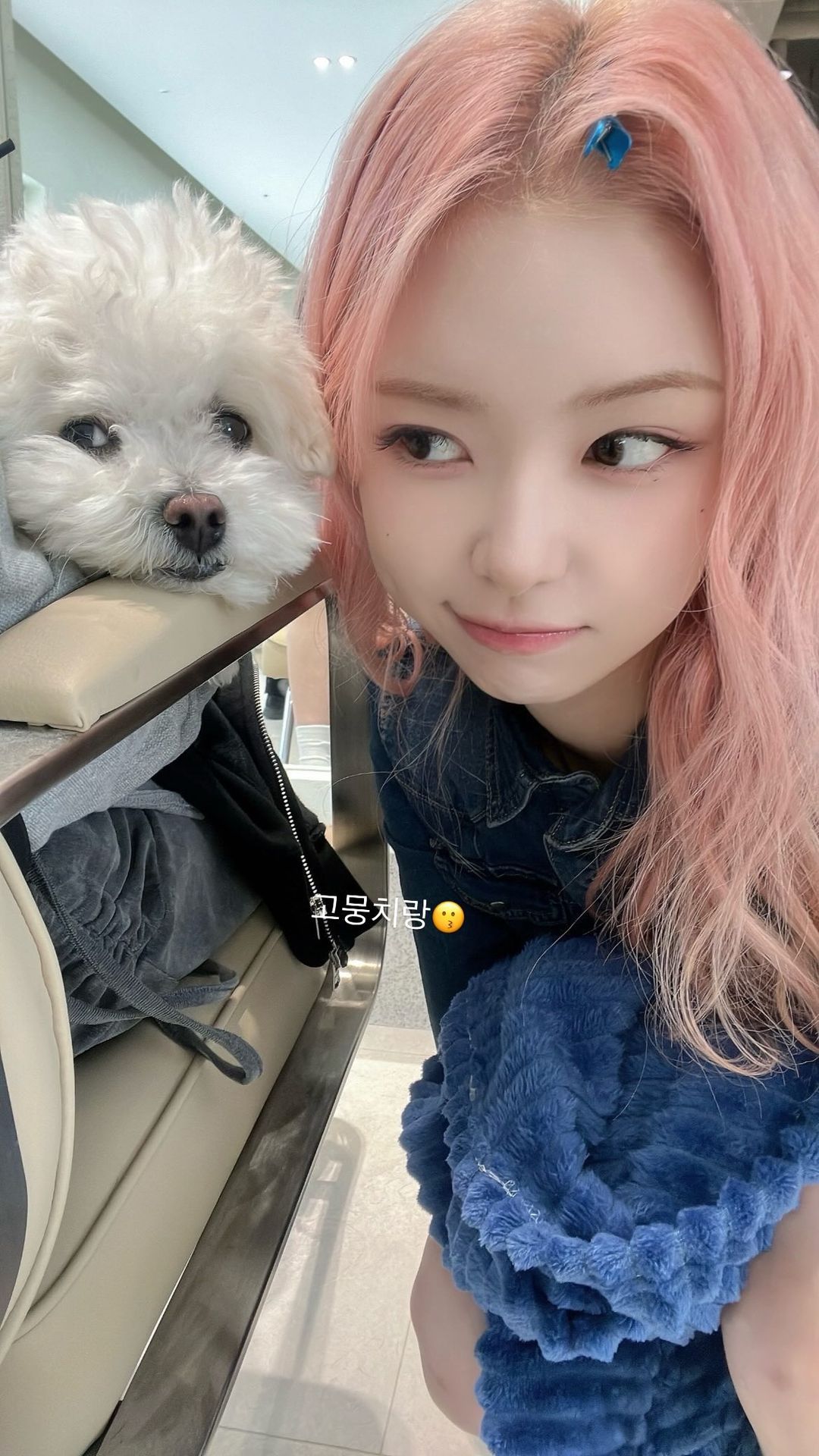 드림노트 은조