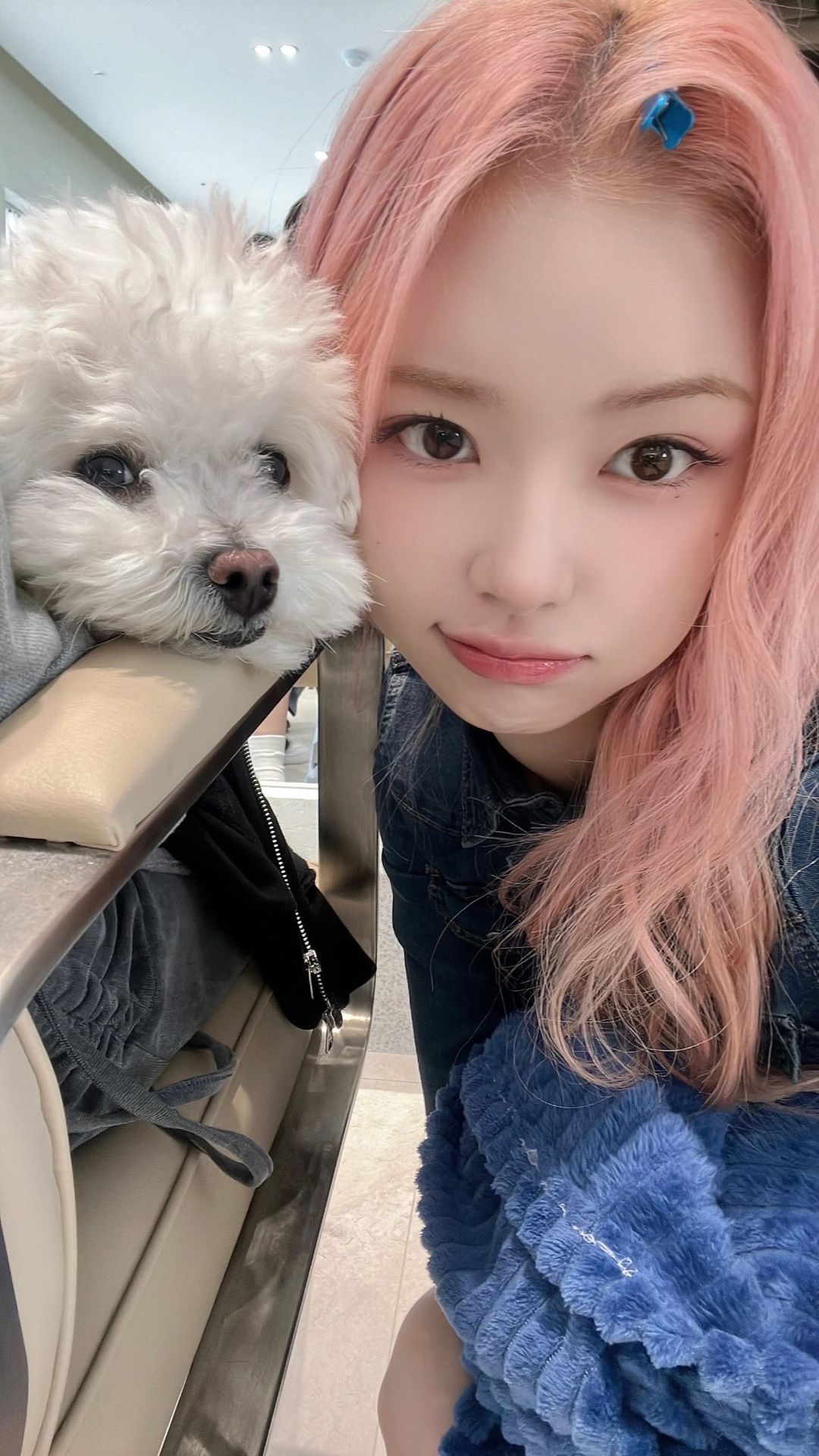 드림노트 은조