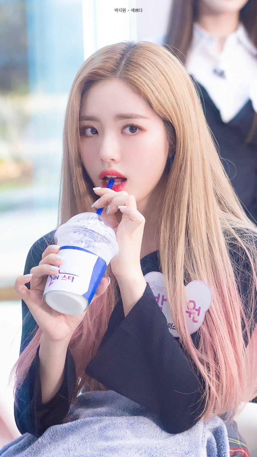 프로미스나인 지원