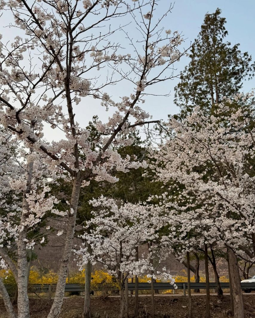 박혜원(HYNN)