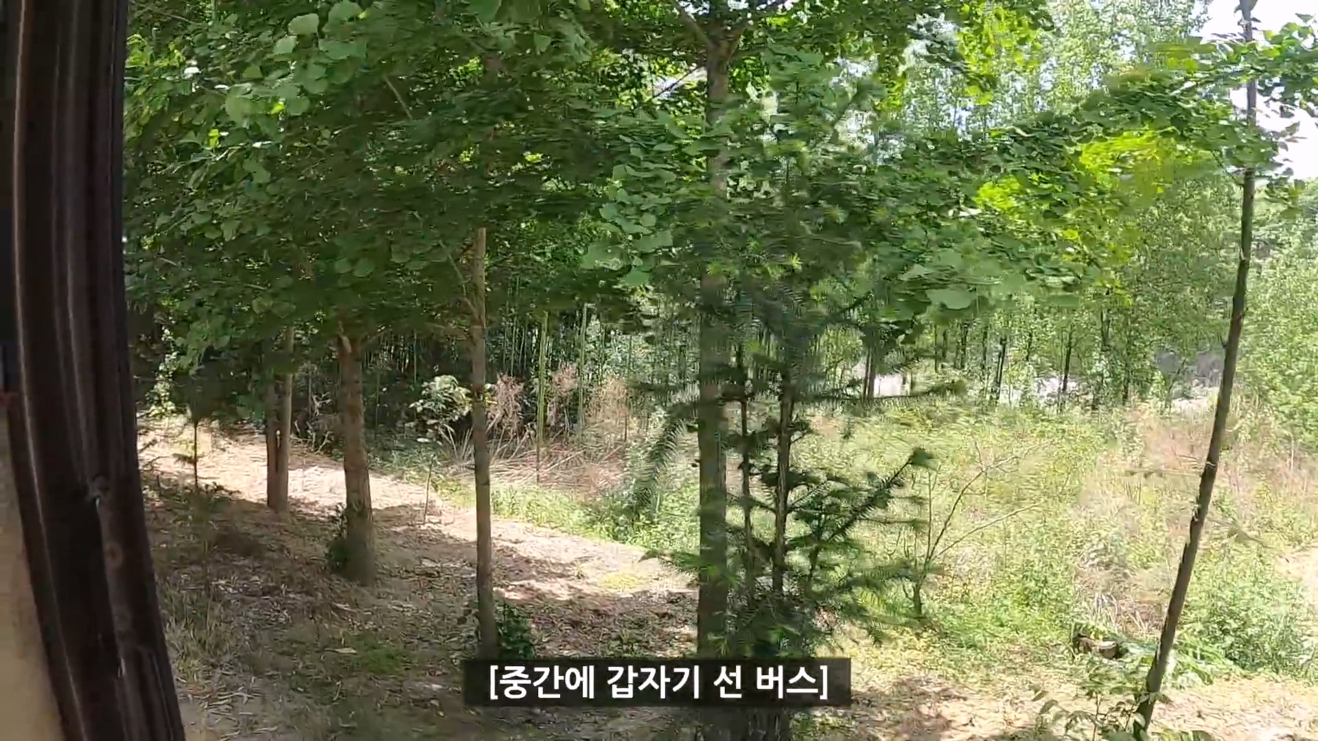 중국 시골 여행 도중 낭만있는 버스기사님을 만난 유튜버 ㄷㄷ